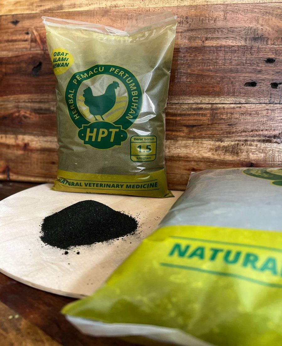 Solusi Herbal untuk Broiler Modern Tanpa Ketergantungan AGP